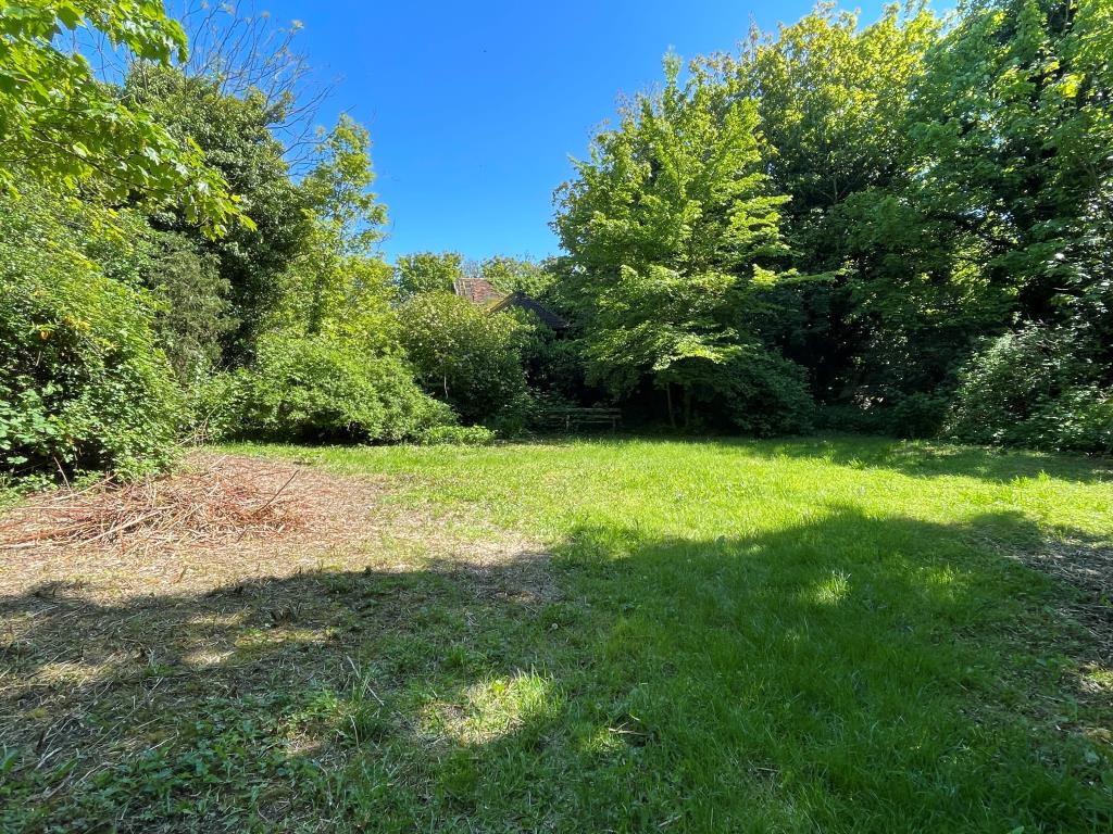 Lot: 107 - DETACHED PROPERTY IN GROUNDS OF 3.5 ACRES WITH OUTBUILDINGS, STABLES AND DILAPIDATED BARN - Clearing in gardens